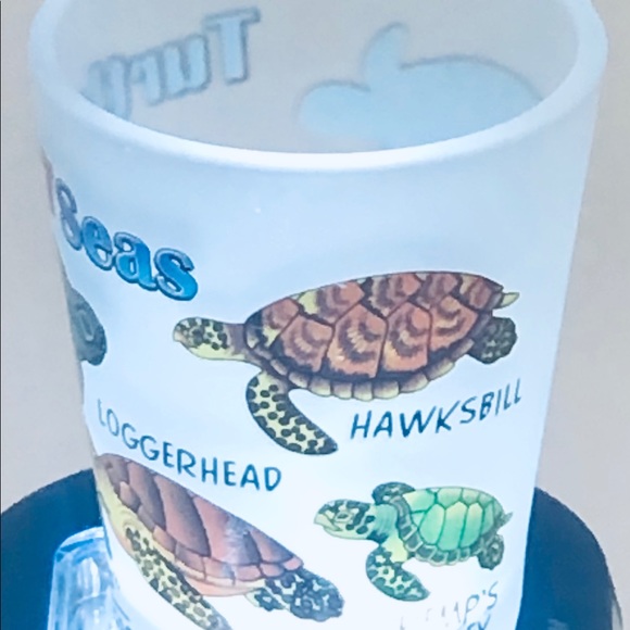 Turtles Of The 7 Sea’s.  Bin 100 WC - Picture 2 of 4